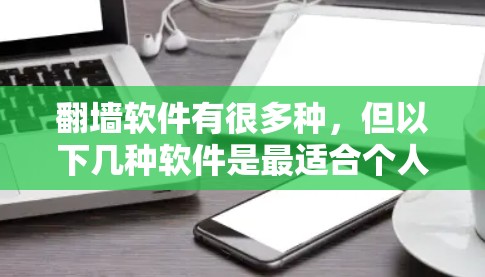 翻墙软件有很多种，但以下几种软件是最适合个人用户使用的，因为它们简单易用，操作方便，且功能全面