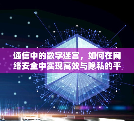 通信中的数字迷宫，如何在网络安全中实现高效与隐私的平衡