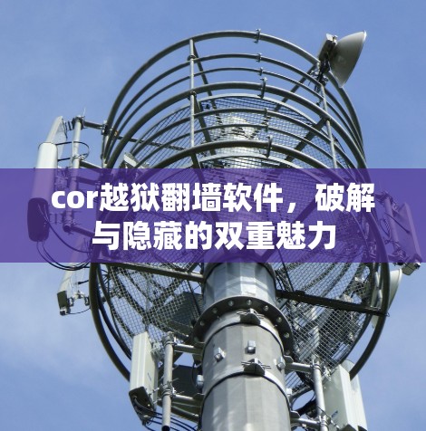 cor越狱翻墙软件，破解与隐藏的双重魅力