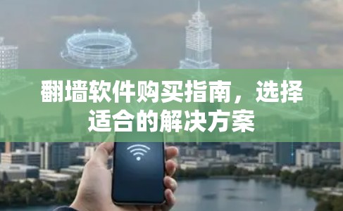 翻墙软件购买指南，选择适合的解决方案