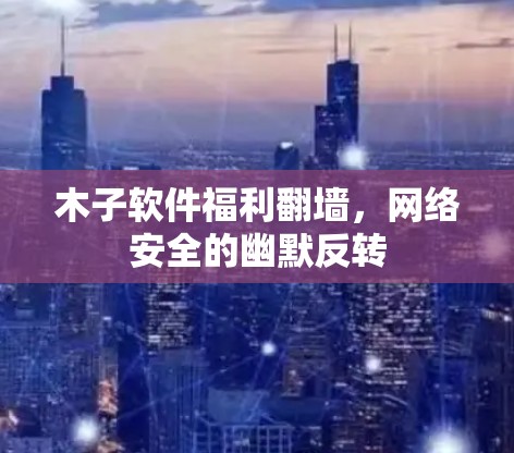 木子软件福利翻墙，网络安全的幽默反转