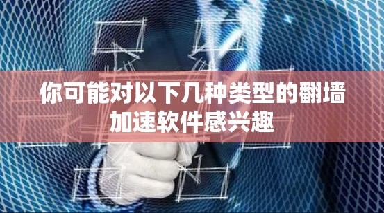 你可能对以下几种类型的翻墙加速软件感兴趣