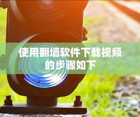 使用翻墙软件下载视频的步骤如下