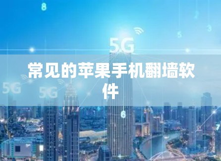 常见的苹果手机翻墙软件
