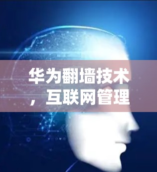 华为翻墙技术，互联网管理的创新之路