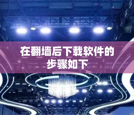 在翻墙后下载软件的步骤如下