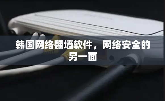 韩国网络翻墙软件，网络安全的另一面