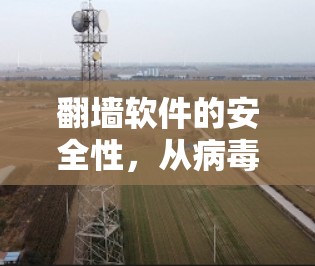 翻墙软件的安全性，从病毒到防护