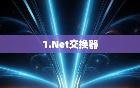 1.Net交换器