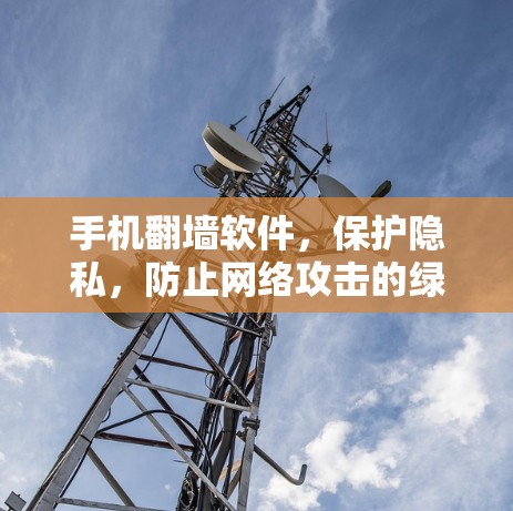 手机翻墙软件，保护隐私，防止网络攻击的绿色选择