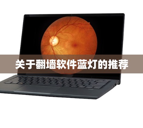 关于翻墙软件蓝灯的推荐