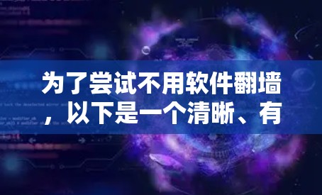 为了尝试不用软件翻墙，以下是一个清晰、有序的步骤指南