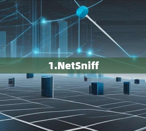 1.NetSniff