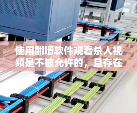 使用翻墙软件观看杀人视频是不被允许的，且存在极大的法律风险，建议采取以下措施