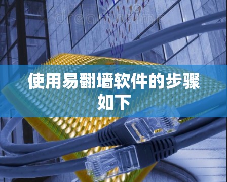 使用易翻墙软件的步骤如下