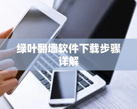 绿叶翻墙软件下载步骤详解