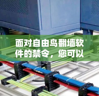 面对自由鸟翻墙软件的禁令，您可以采取以下步骤来解决问题