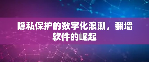 隐私保护的数字化浪潮,翻墙软件的崛起 隐私保护的数字化浪潮,翻墙软件的崛起