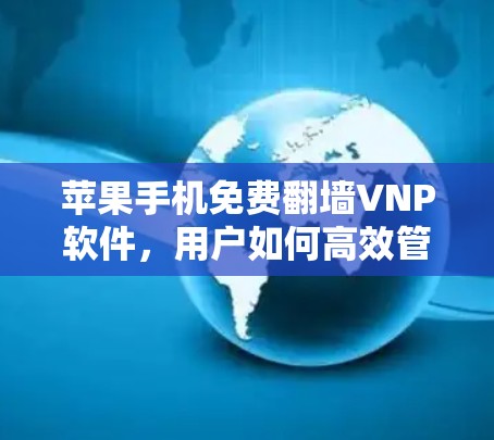 苹果手机免费翻墙VNP软件，用户如何高效管理互联网
