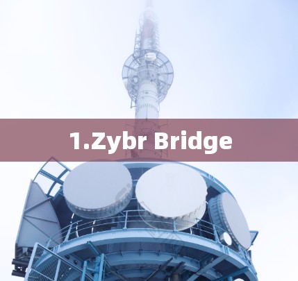 1.Zybr Bridge