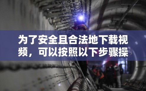 为了安全且合法地下载视频，可以按照以下步骤操作
