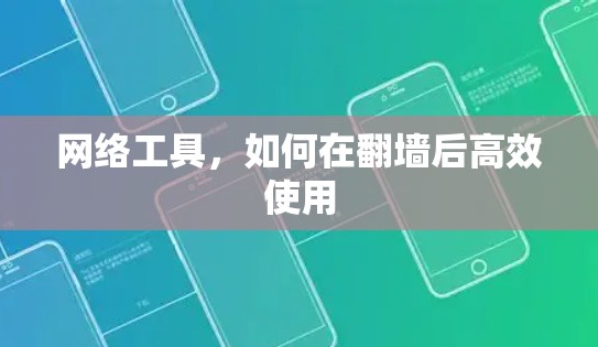 网络工具，如何在翻墙后高效使用