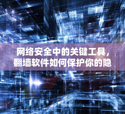 网络安全中的关键工具，翻墙软件如何保护你的隐私