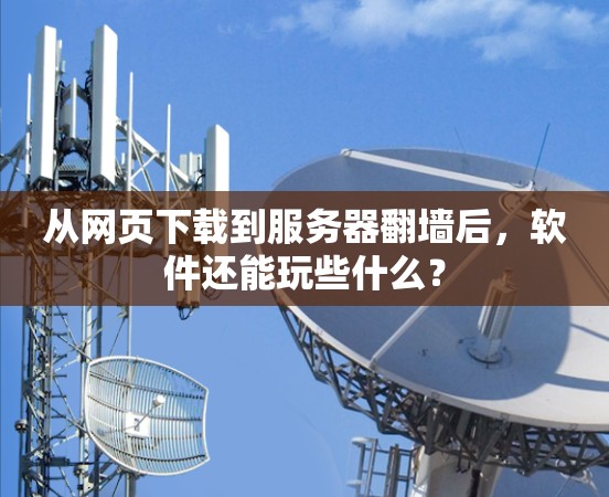 从网页下载到服务器翻墙后，软件还能玩些什么？