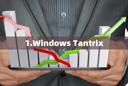 1.Windows Tantrix