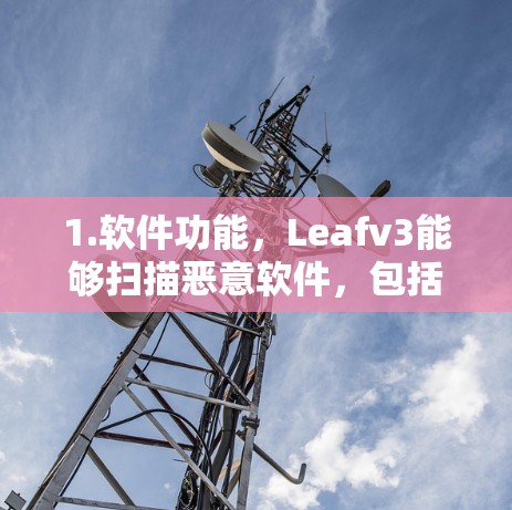 1.软件功能，Leafv3能够扫描恶意软件，包括攻击者的恶意代码，帮助您维护网络安全