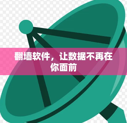 翻墙软件，让数据不再在你面前