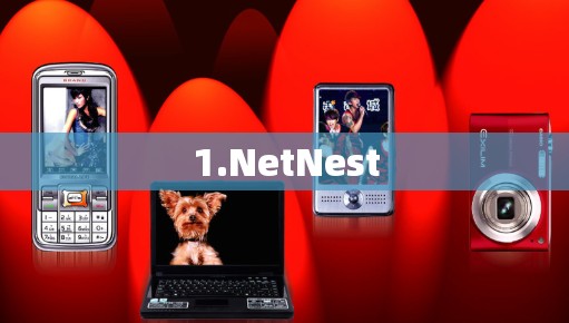 1.NetNest