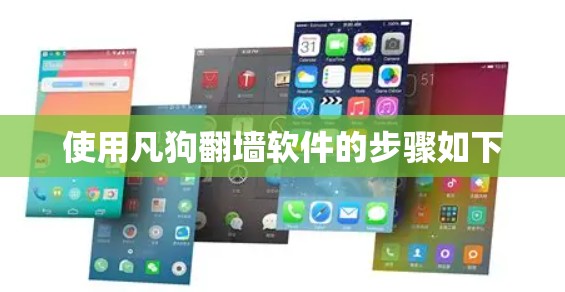 使用凡狗翻墙软件的步骤如下