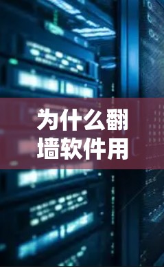 为什么翻墙软件用不了
