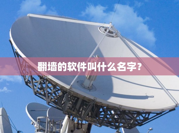 翻墙的软件叫什么名字？
