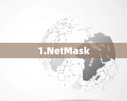 1.NetMask