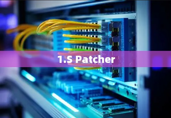 1.S Patcher