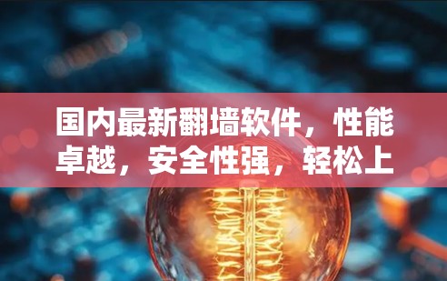 国内最新翻墙软件，性能卓越，安全性强，轻松上手
