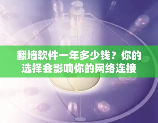 翻墙软件一年多少钱？你的选择会影响你的网络连接