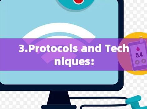 3.Protocols and Techniques: