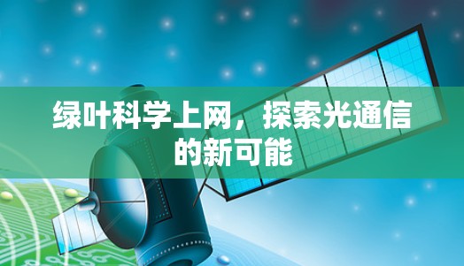 绿叶科学上网，探索光通信的新可能