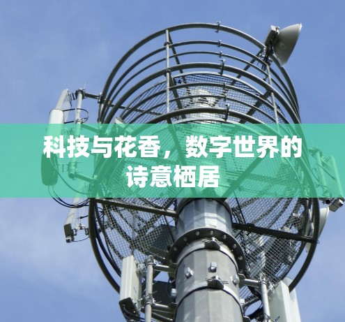 科技与花香，数字世界的诗意栖居