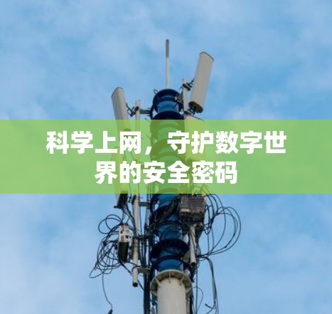 科学上网，守护数字世界的安全密码