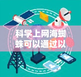 科学上网海蜘蛛可以通过以下步骤进行
