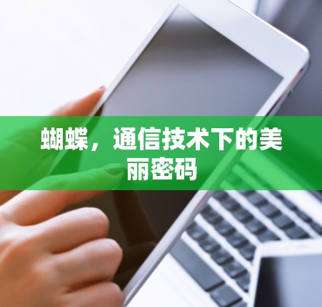 蝴蝶，通信技术下的美丽密码
