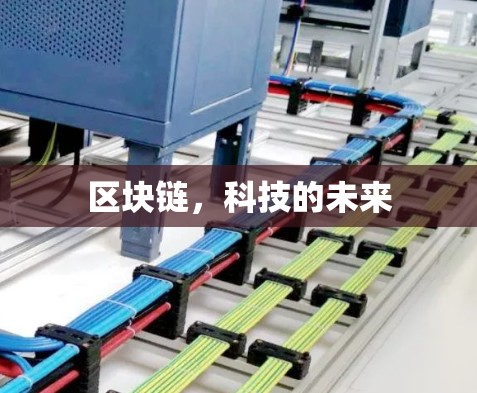 区块链，科技的未来