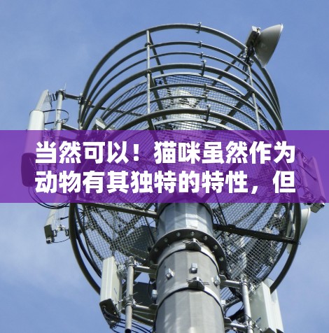 当然可以！猫咪虽然作为动物有其独特的特性，但它们通常不会像人类那样深入探讨或理解科技。不过，我们可以用猫咪的特质来比喻或谈一谈科技的某些方面