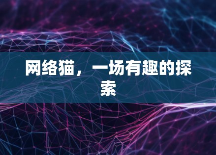 网络猫,一场有趣的探索 网络猫,一场有趣的探索