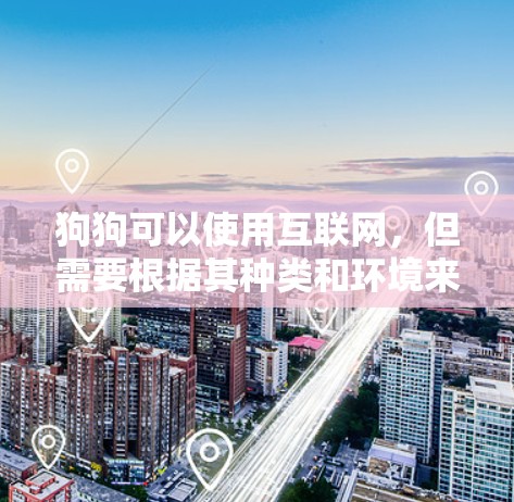 狗狗可以使用互联网，但需要根据其种类和环境来选择适合的上网方式。以下是关于狗狗科学上网的详细信息