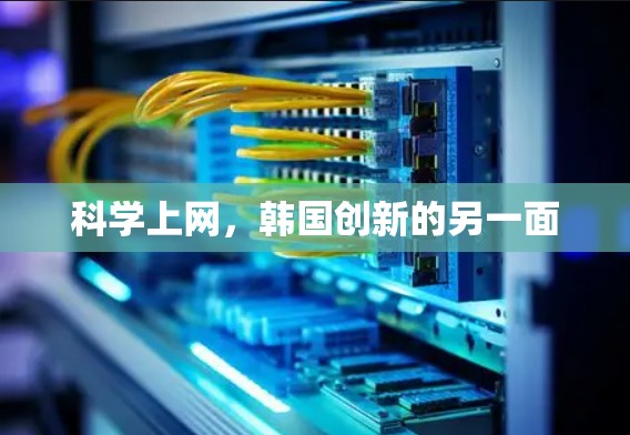 科学上网，韩国创新的另一面